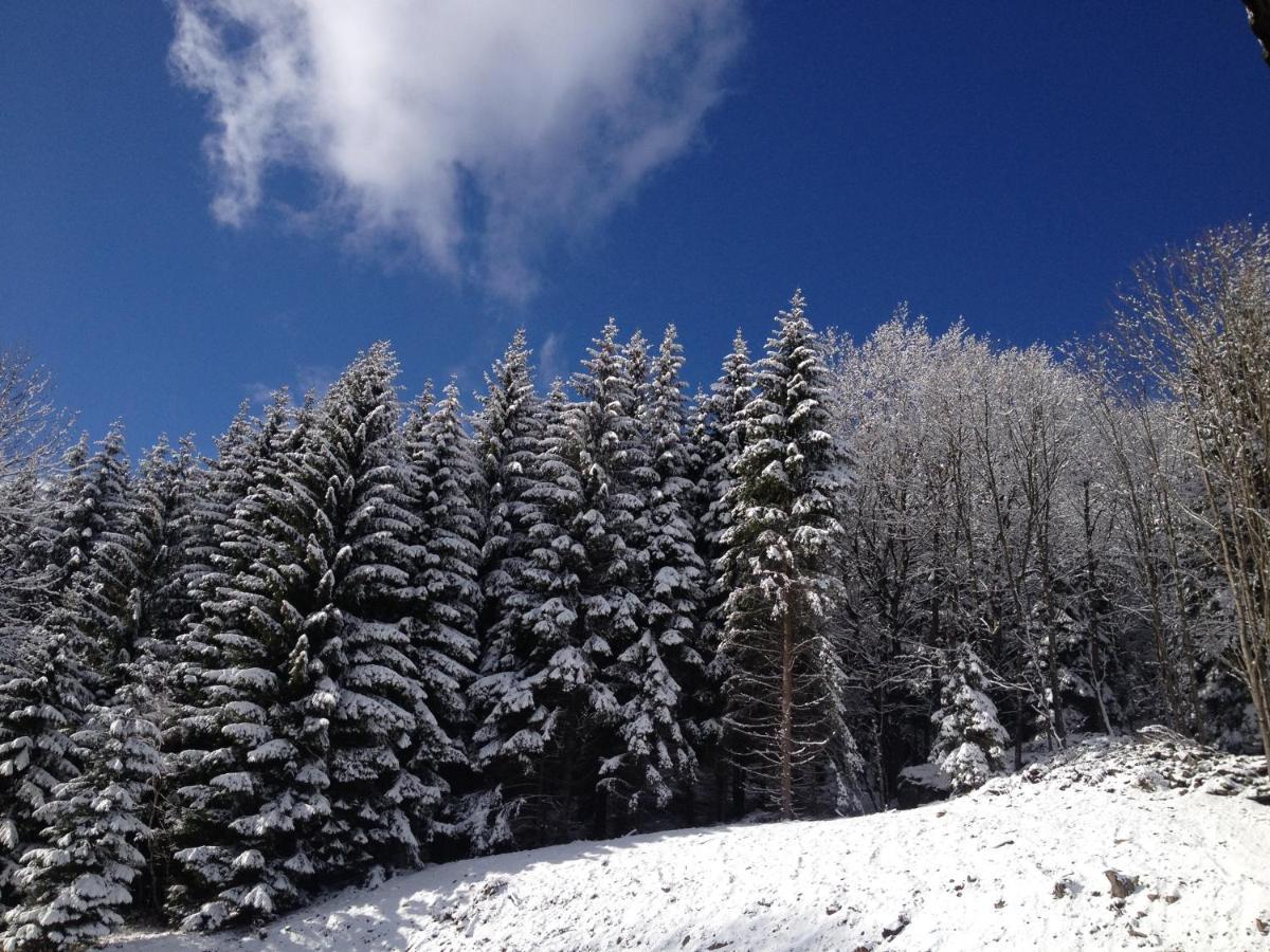 Zlote Gory - Czarna Gora Bed & Breakfast Sienna  Bagian luar foto
